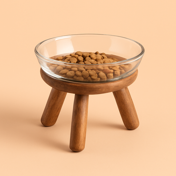 Modern Glass Elevated Pet Bowl