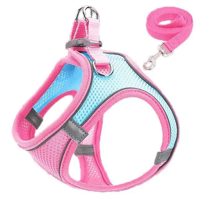 Cat Harness Reflective Pet Harnesses and Leashes Set - Premium Reflective Cat Harness for Ultimate Safety