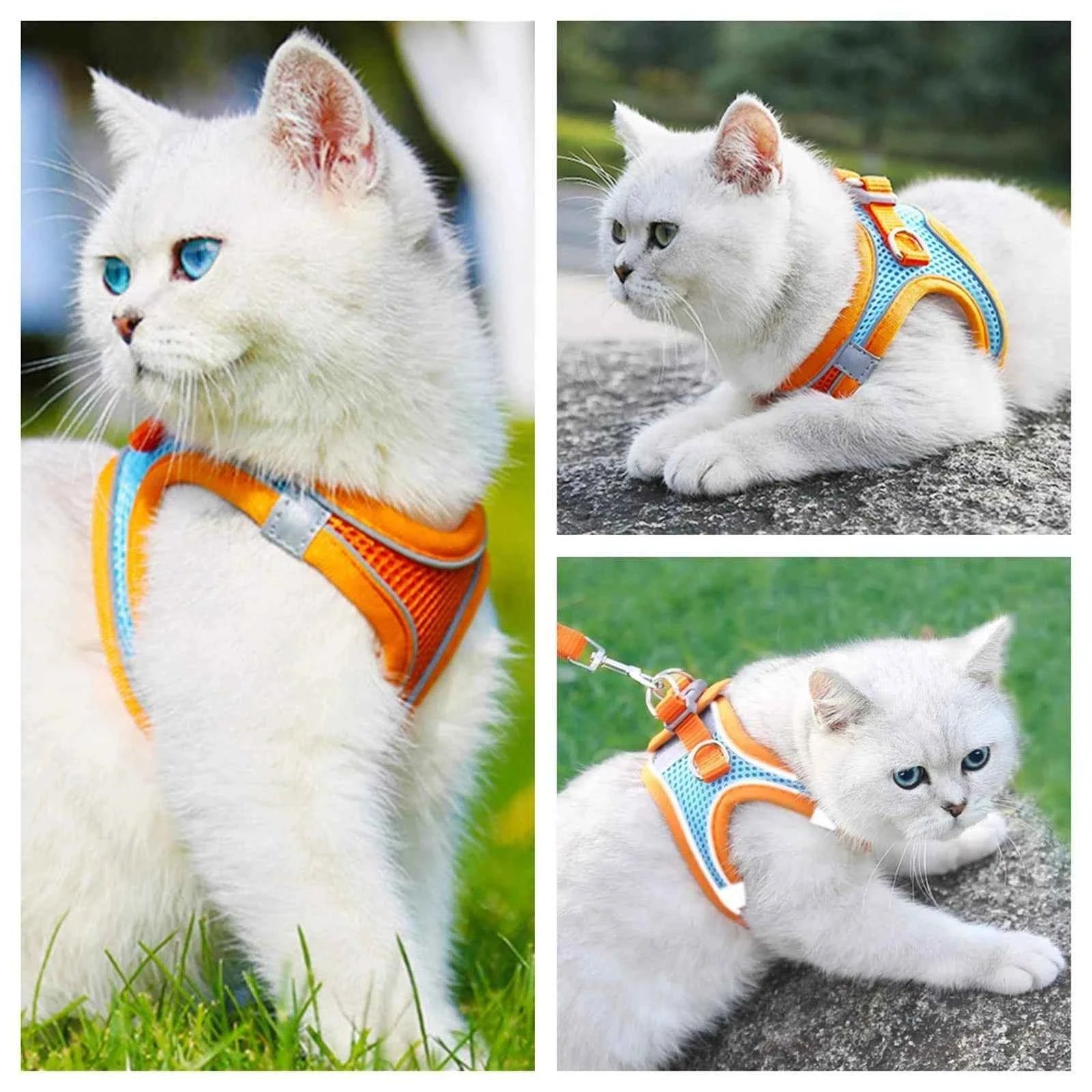 Cat Harness Reflective Pet Harnesses and Leashes Set - Premium Reflective Cat Harness for Ultimate Safety