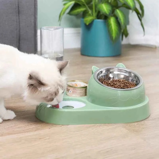 2-in-1 Automatic Cat Water Dispenser and Bowl with Water Storage for Pets