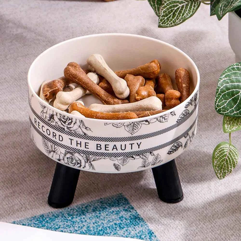 Stainless Steel Pet Bowls